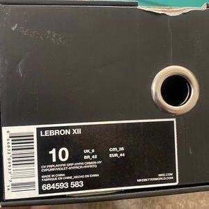 Basketball shoes Nike lbj xll